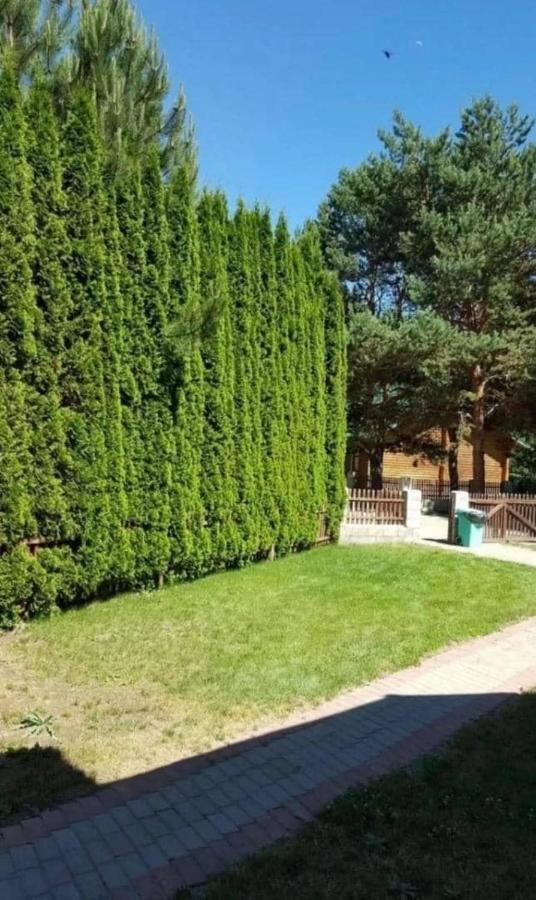 Apartament Центр Отдыха Радуга Chon-Sary-Oy Zewnętrze zdjęcie